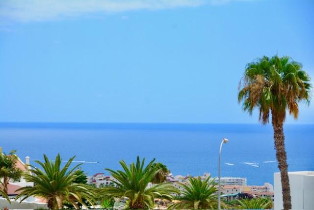 a palm tree on a beach with the ocean in the background at MARISOL beautiful apartment with oceanview in Adeje