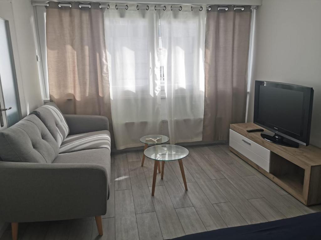 ein Wohnzimmer mit einem Sofa und einem TV in der Unterkunft Studio avec cuisine séparée tout proche de la gare in Annemasse