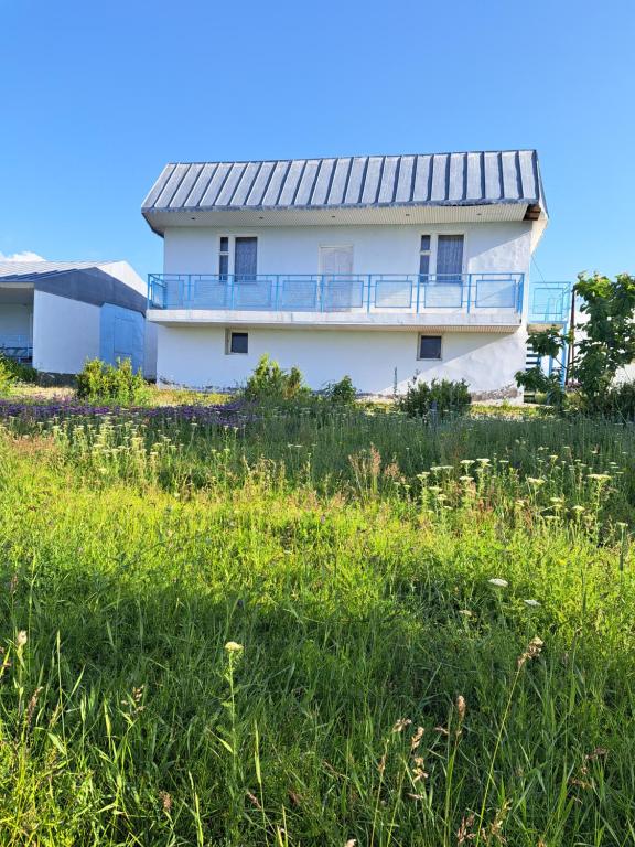 セヴァンにあるSevan Family Houseの野原の上に建つ、金属製の屋根を持つ白い建物