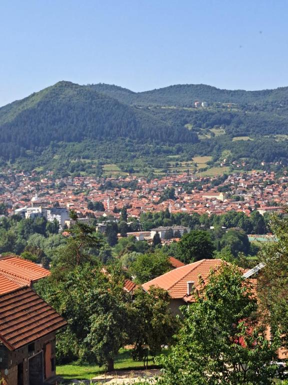 uma vista para uma cidade com montanhas ao fundo em OAZA ZA DUŠU em Visoko