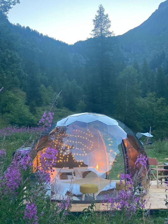 Příroda nedaleko luxury tent