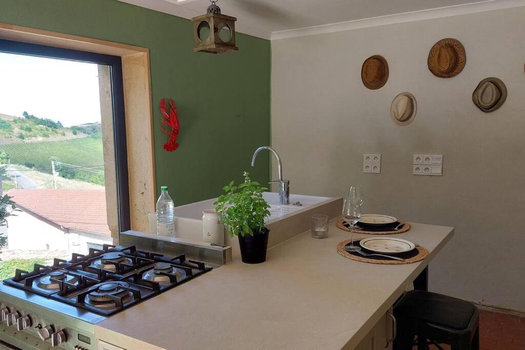 Kuchyň nebo kuchyňský kout v ubytování Chambre avec cuisine, vue et piscine privée au cœur du Beaujolais