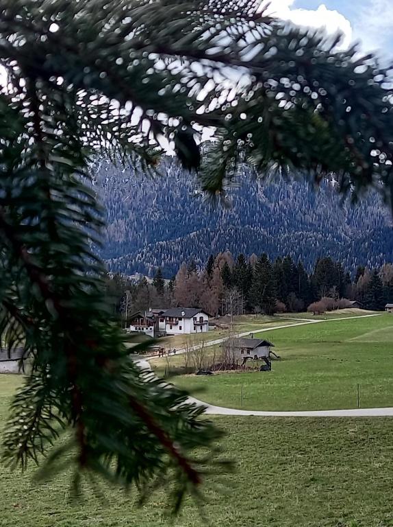 Příroda nedaleko hotelu