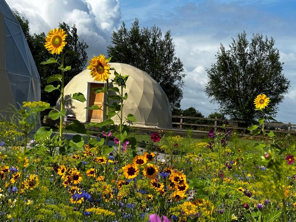 Zahrada ubytování ID Glamping De Coude Scheure