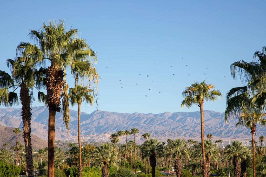 The Saguaro Palm Springs - Standaard King Room