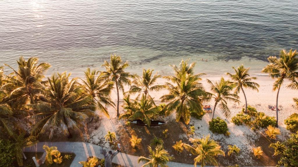 an overhead view of a beach with palm trees and the ocean at La Digue Island Lodge in La Digue