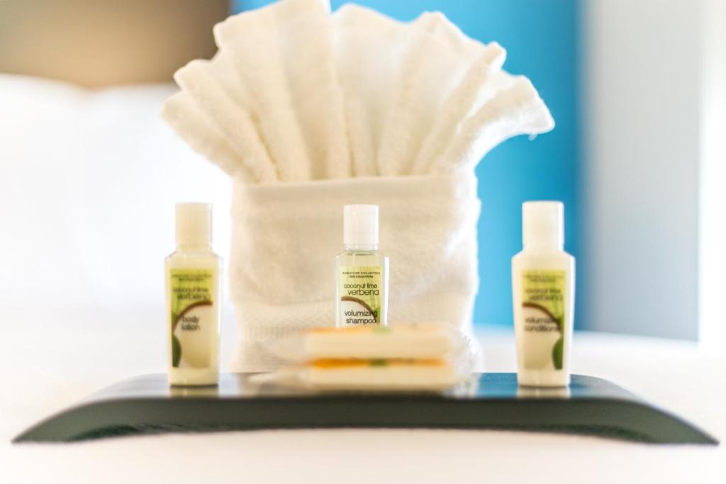 Holiday Inn Hotel & Suites Chattanooga by IHG - One-Bedroom King Suite - Communications Accessible