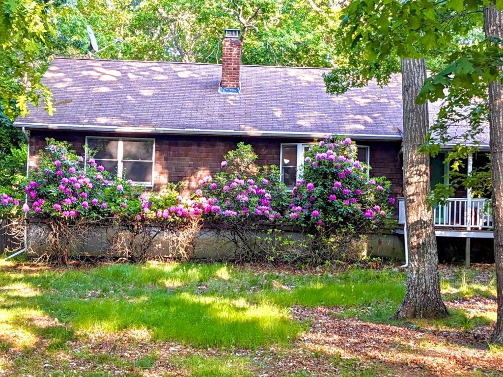 Beautiful house in Springs, East Hampton (updated prices 2024)