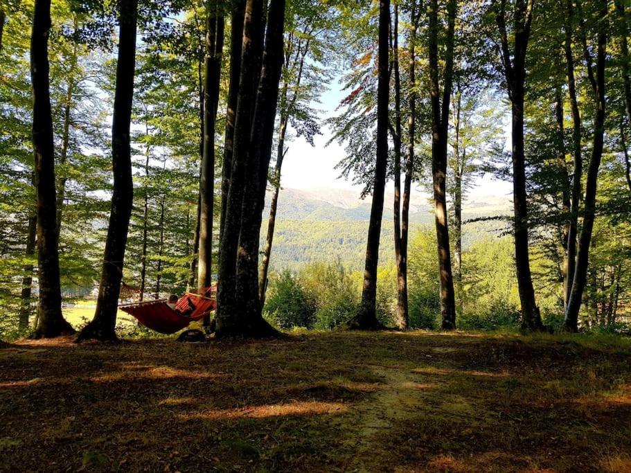 a person laying in a hammock in a forest at Cabana Cheia Fericirii - Forest Family Retreat in Cheia