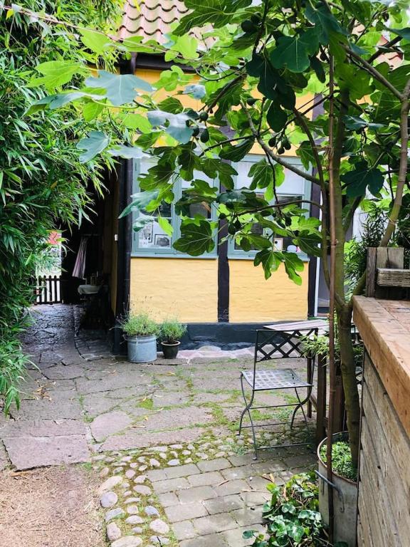 Zahrada ubytování Litet gathus mitt i Ystad