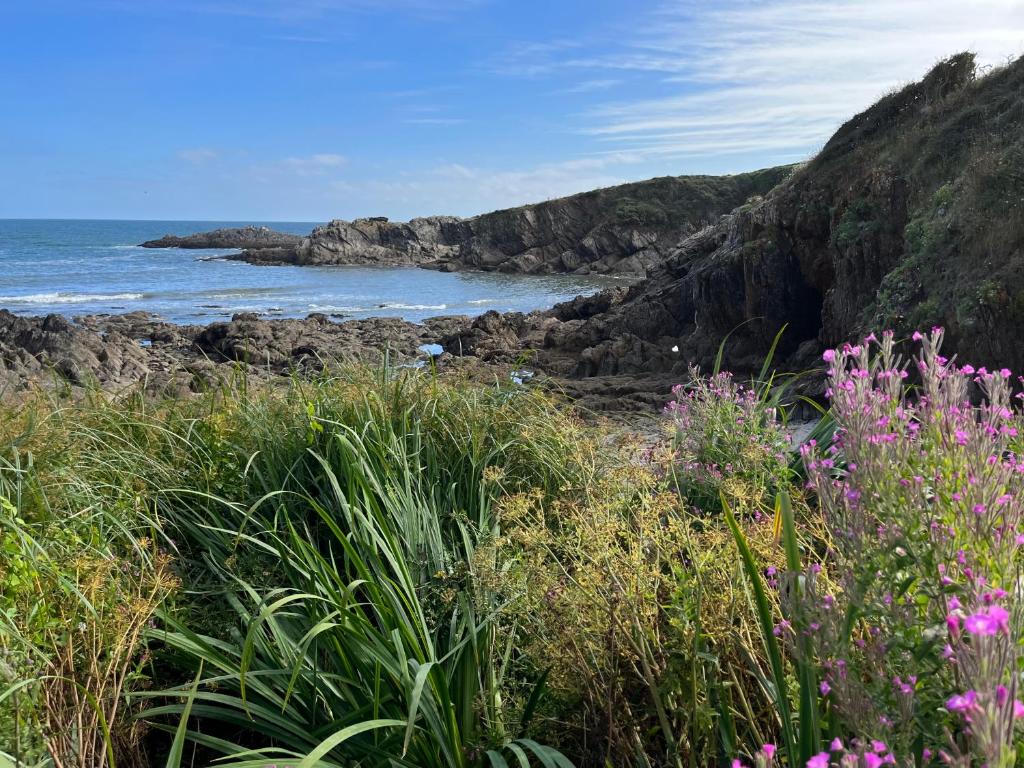 a view of the ocean from a beach with pink flowers at Gîte cosy sur jardin in Moëlan-sur-Mer