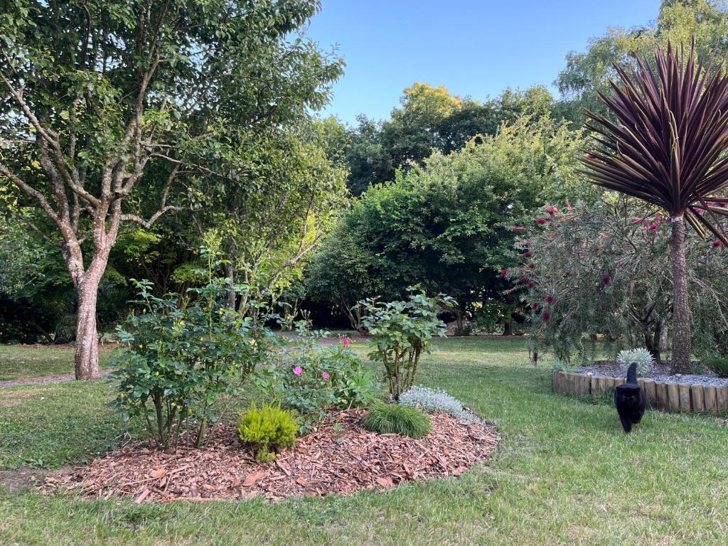 a garden with flowers and plants in the grass at Gîte cosy sur jardin in Moëlan-sur-Mer