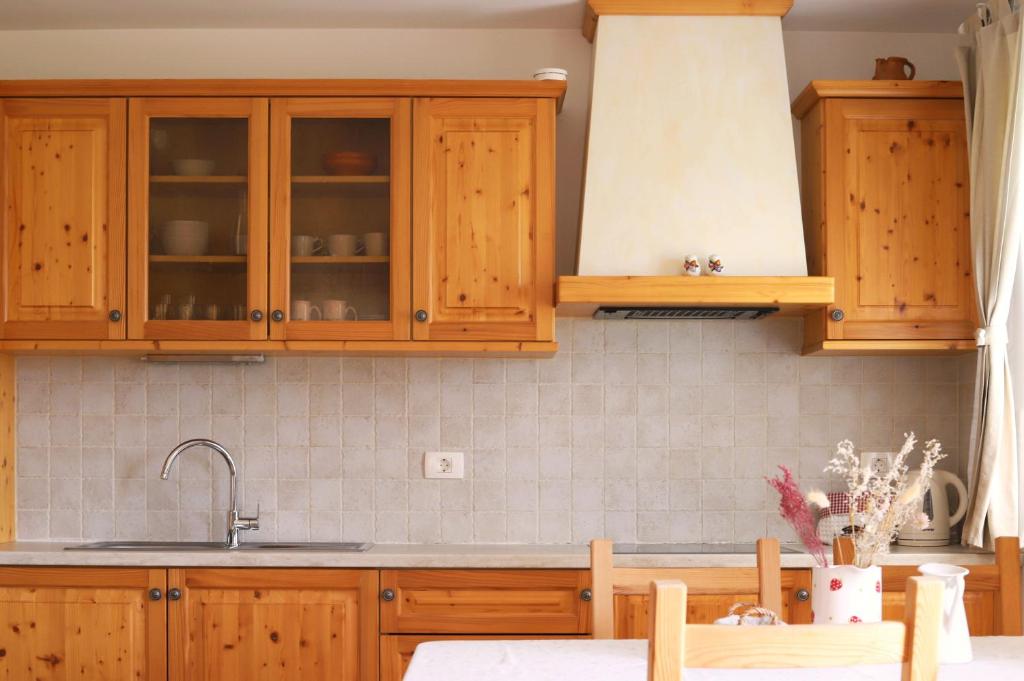 Kuchyň nebo kuchyňský kout v ubytování Apartments pr' Špeli