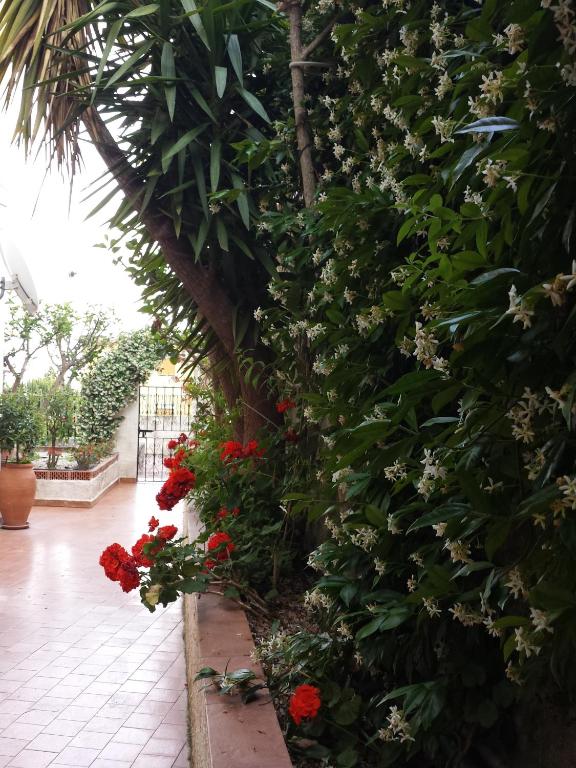 Taonasi Taormina Apartments - 8