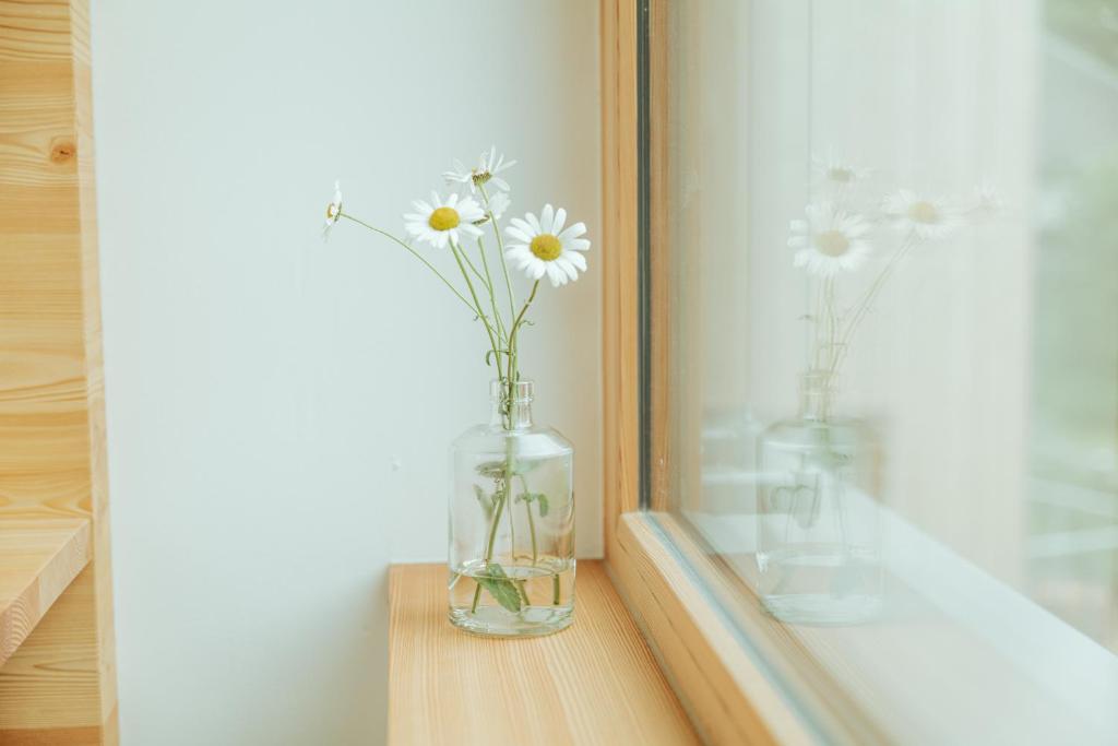Fotografie z fotogalerie ubytování Haus Aerli v destinaci Ehrwald