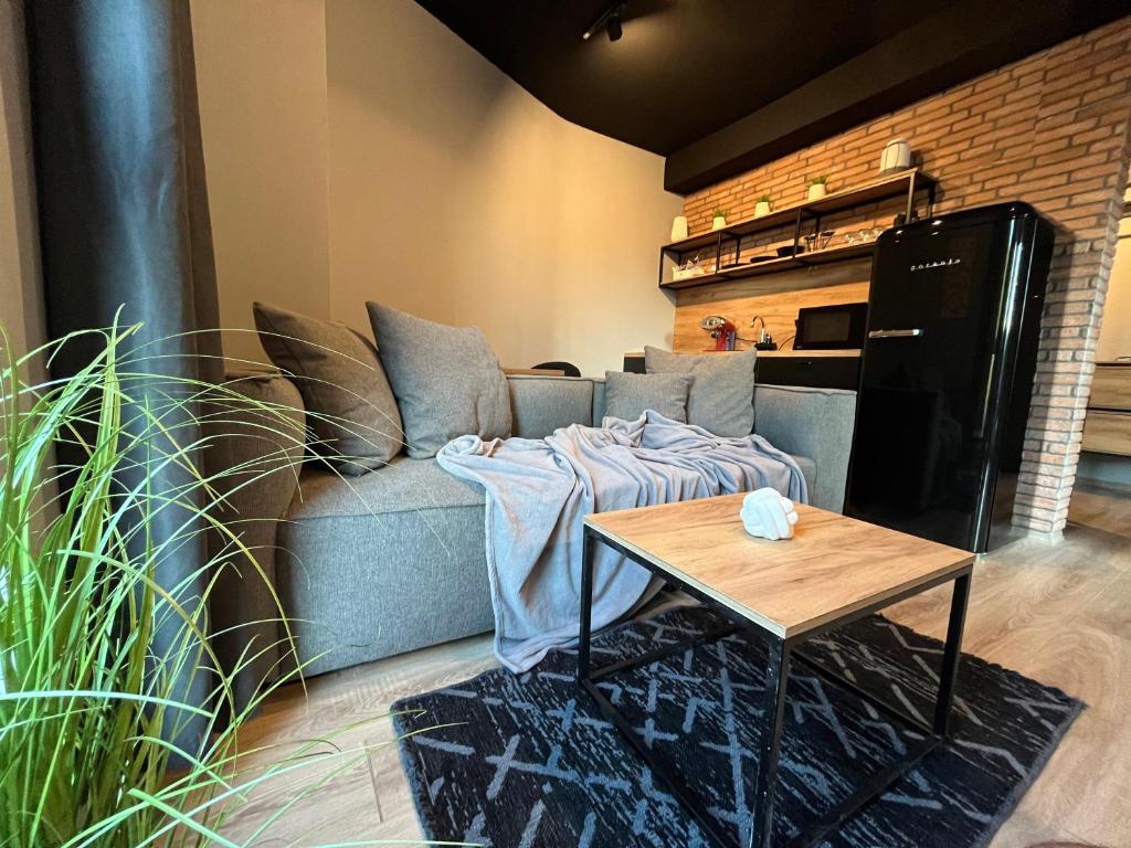 sala de estar con sofá y mesa en Mickitos Apartments - Mavrovo en Mavrovo