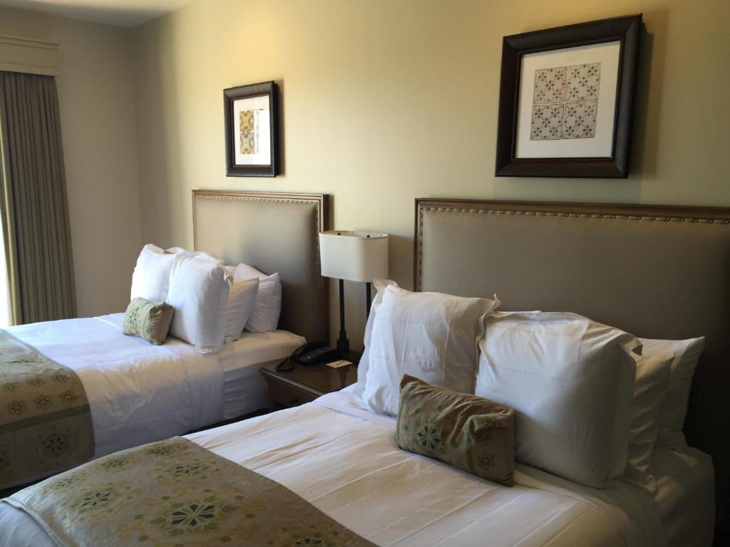 Ponte Vineyard Inn - 