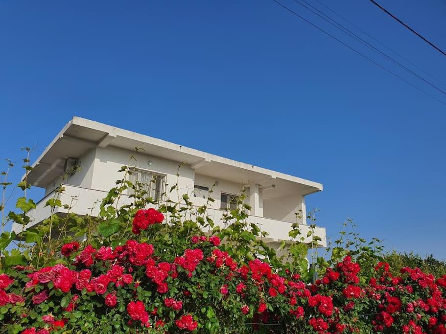 a white building with red flowers in front of it at Green Villa in Durrës