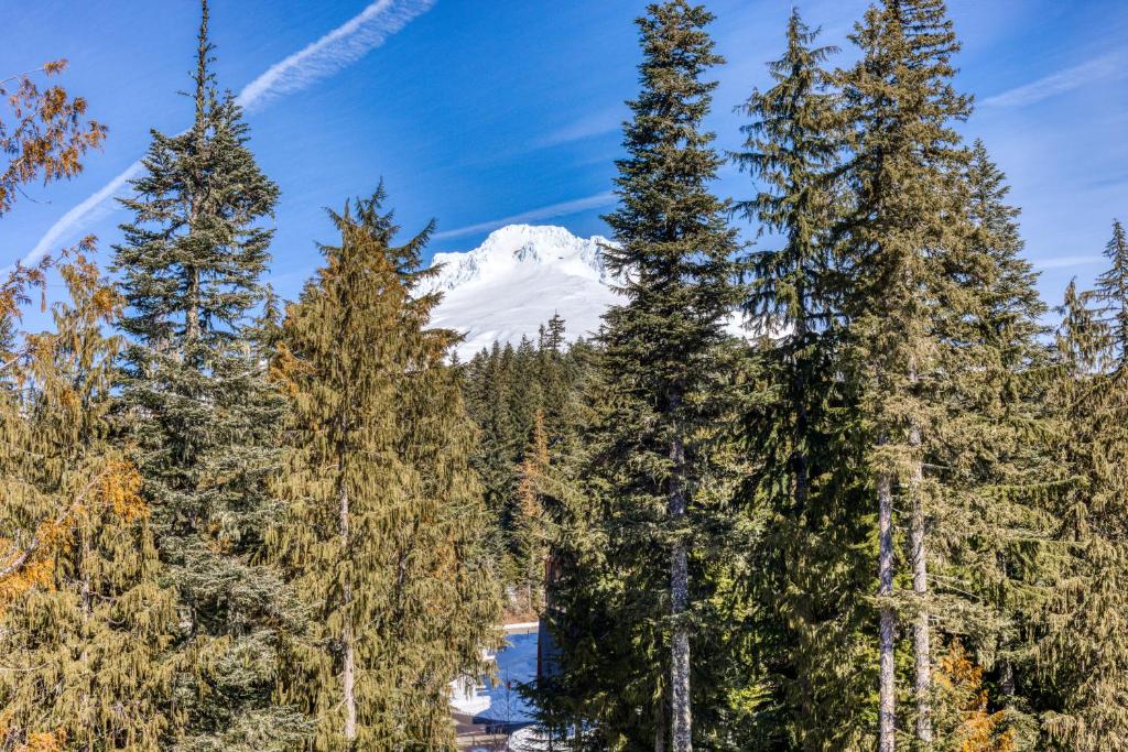 una montaña cubierta de nieve en la distancia detrás de los árboles en #301 Grand Lodge South Master Suite en Government Camp