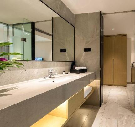 Koupelna v ubytování 佛山金美域林禧酒店