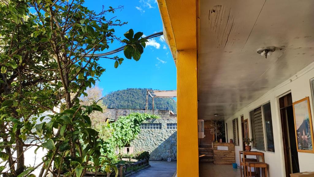 una vista desde el lateral de un edificio con un árbol en Casa I`X, en Quetzaltenango