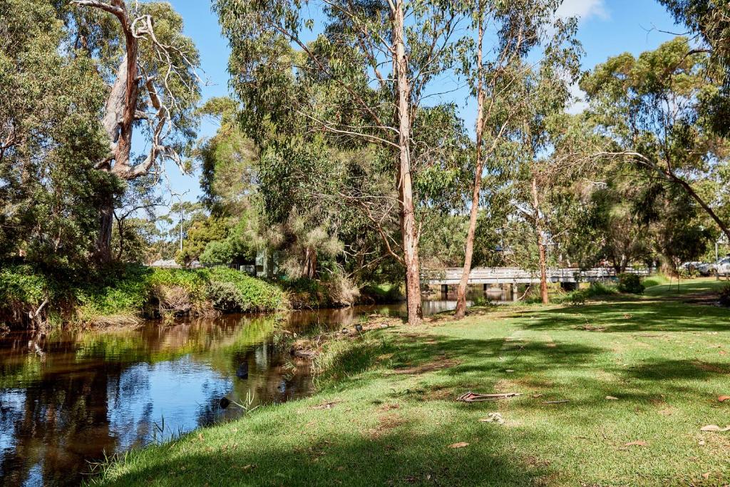 a river with trees and a bridge in the background at Lorne Foreshore Caravan Park in Lorne