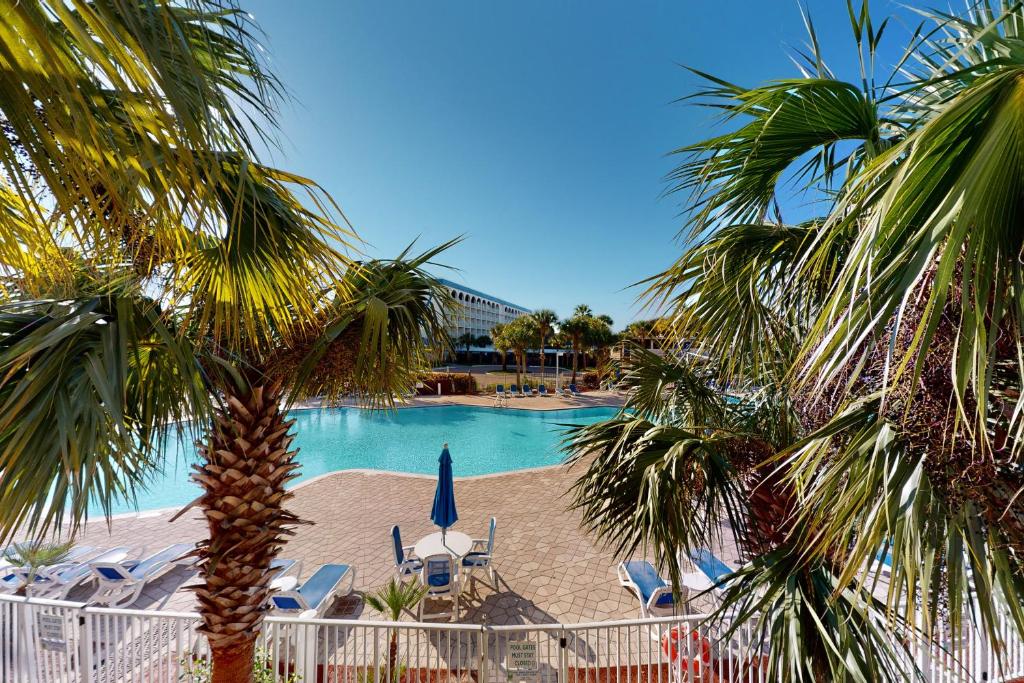 a swimming pool with chairs and a palm tree at Destin West Resort - Gulfside 207 in Fort Walton Beach