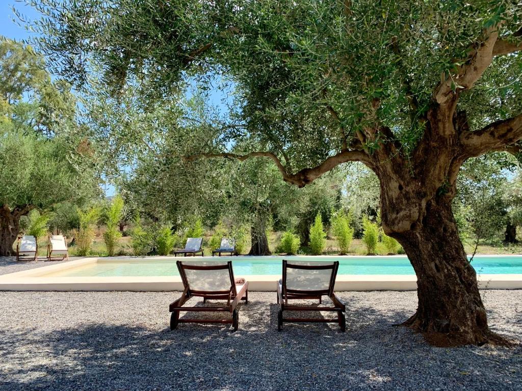dos sillas sentadas bajo un árbol junto a una piscina en Inspiro Retreat Mani, 