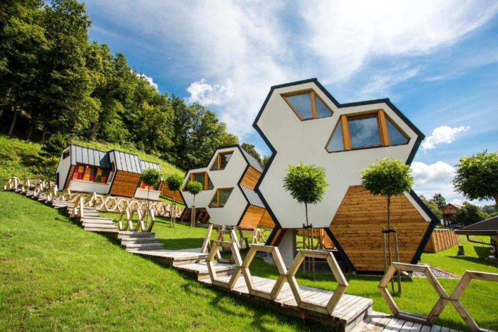 莫濟列的住宿－Honeycomb Chalets And Apartments Mozirje - Happy Rentals，像房子一样的房屋,坐在绿色的田野上