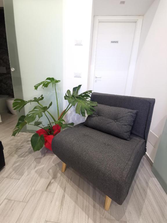 Trinity Apartment - 1