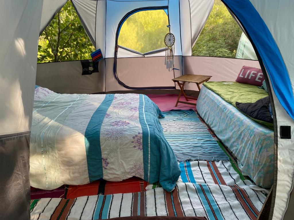 Cette chambre comprend une tente avec 2 lits. dans l'établissement Tente à la campagne, à Roquestéron