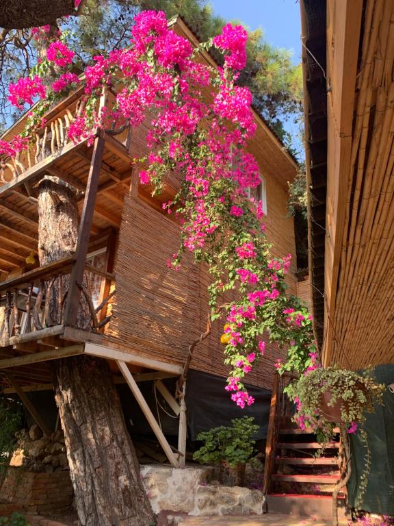 a bunch of pink flowers hanging from a building at Large Bungalow with Sea View in Kabak Bay, Ölüdeniz in Fethiye