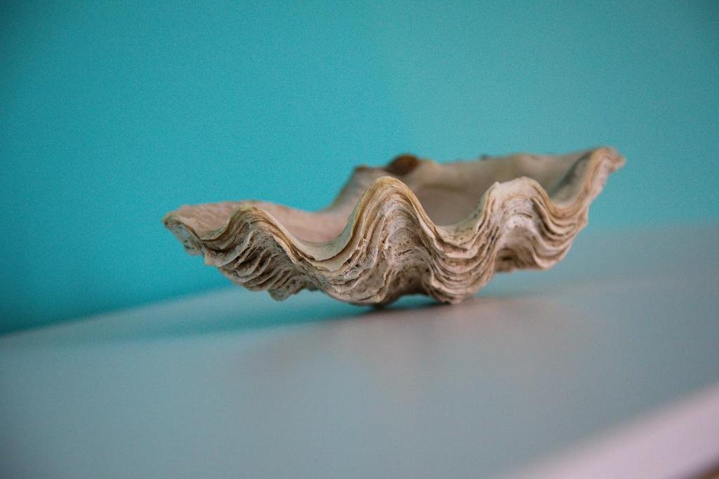 O'Myosotis - 400m Centre Historique - Parking Gratuit - Piscine et Jardin - 10