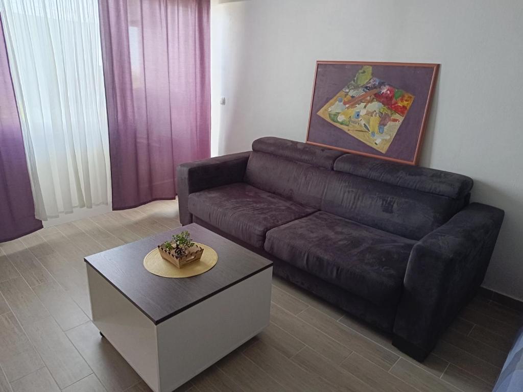 a living room with a brown couch and a coffee table at Studio Lara in Zagreb