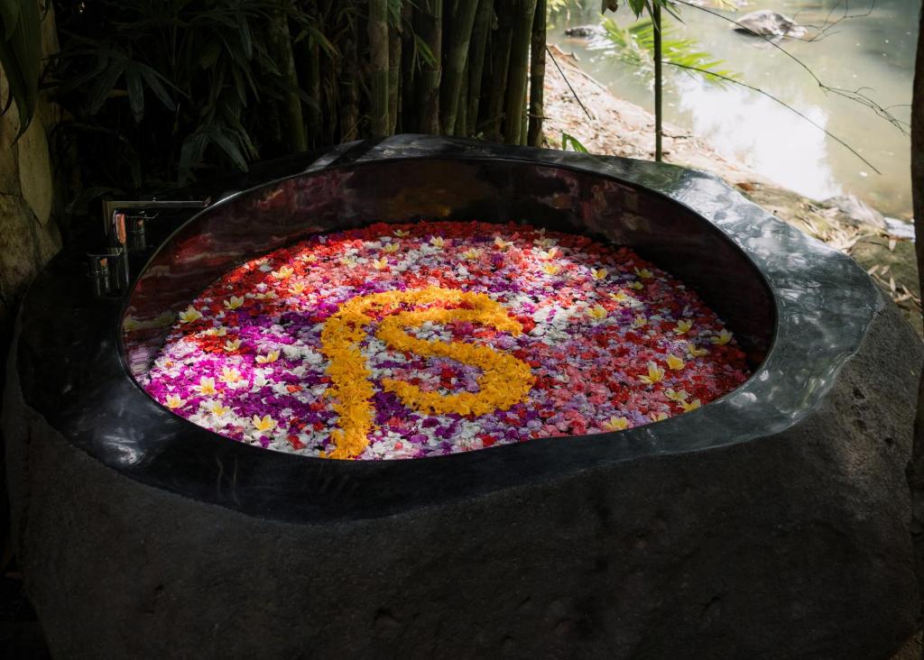 Suenyo Eco Retreat - 11