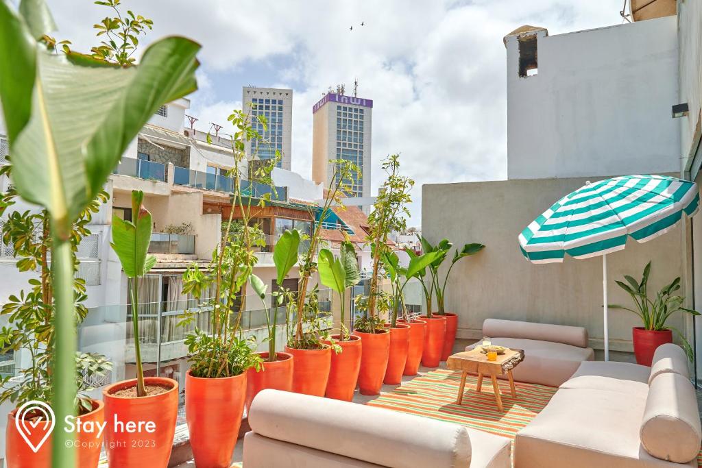 Stayhere Casablanca - Gauthier 2 - Contemporary Residence في الدار البيضاء: صف من النباتات في قدور البرتقال على مبنى
