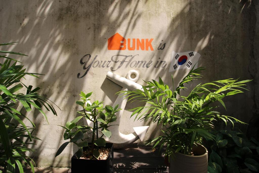 un grupo de plantas en macetas frente a una pared en Bunk Guesthouse Hongdae en Seúl