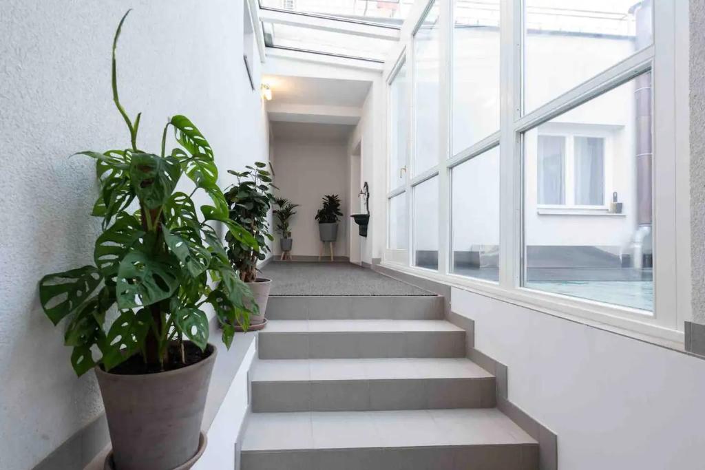 un pasillo con escaleras con macetas y una ventana en Designer Apartments, en Viena