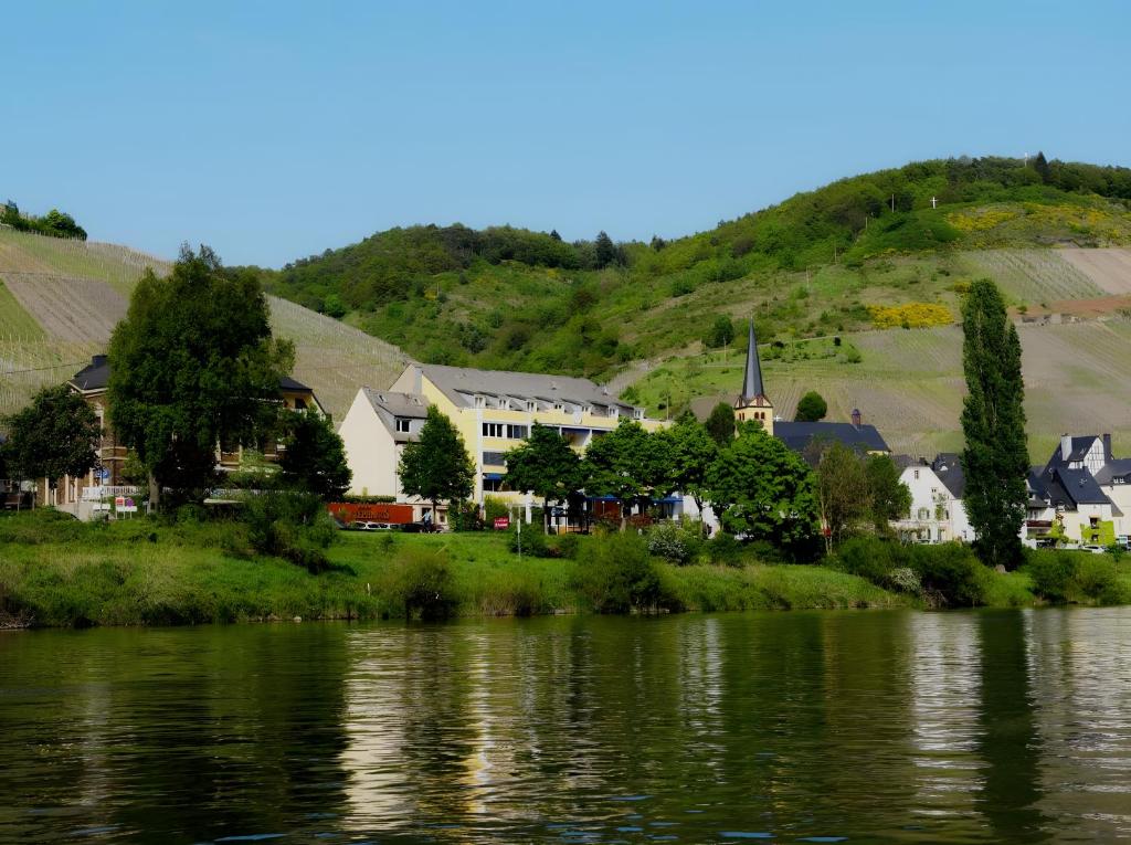 eine kleine Stadt neben einem Wasserkörper in der Unterkunft Vegan Hotel und Restaurants Nicolay 1881 in Zeltingen-Rachtig