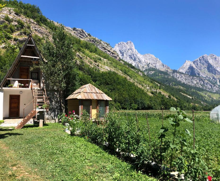 una pequeña casa en un campo con montañas en el fondo en Guest House Ledio, en Valbonë