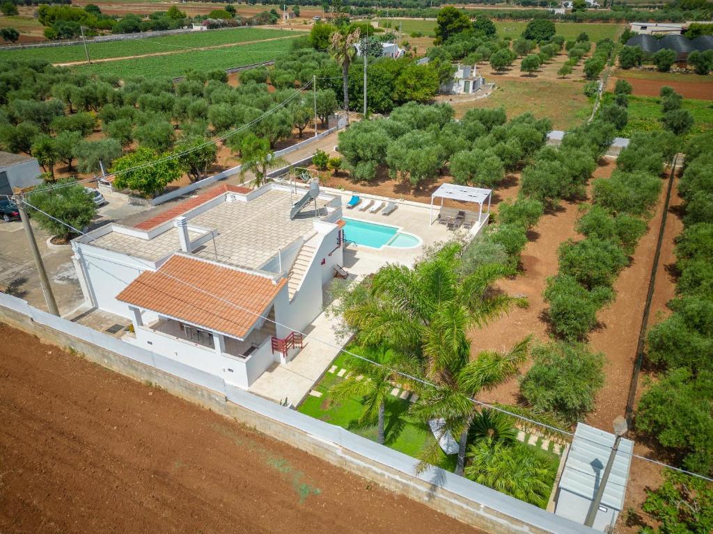 Bazén v ubytování Villa Dolcevivere nebo v jeho okolí