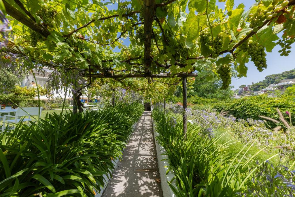 Villa La Pergola Capri photo