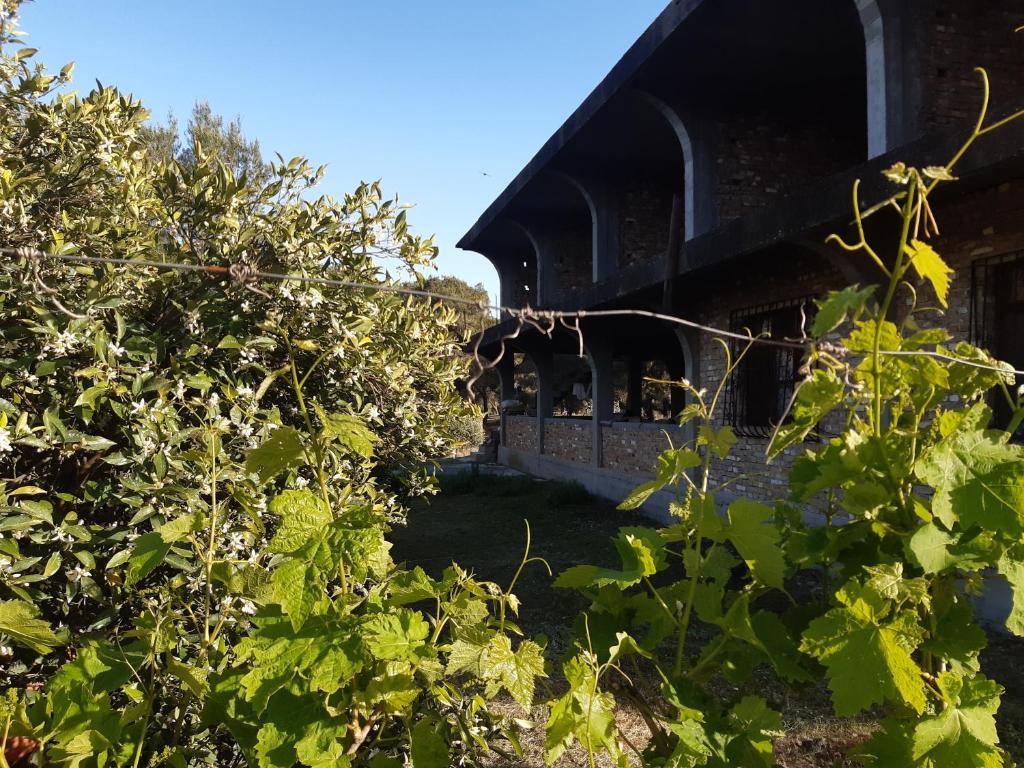 Jorgos Villa - Imazhi 8