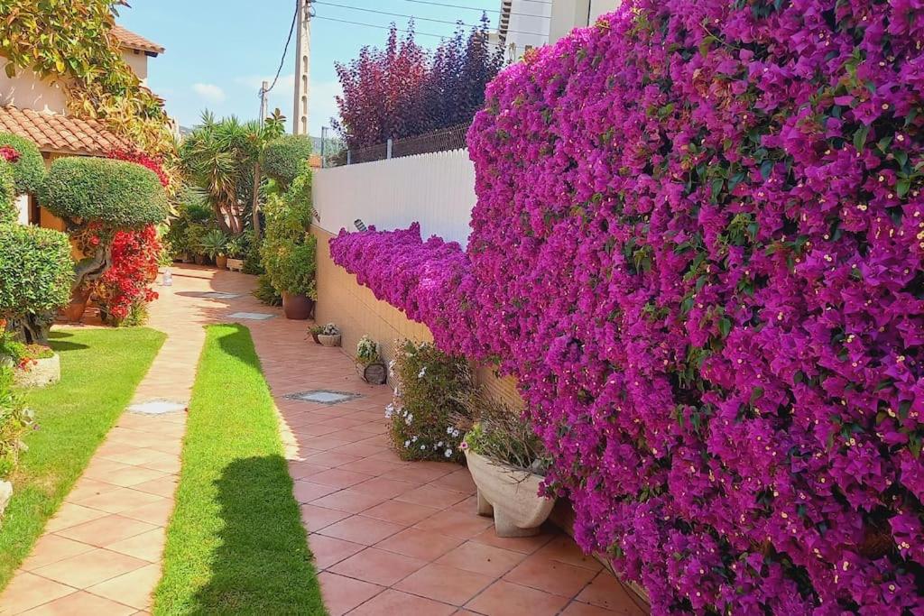 a wall covered in purple flowers next to a sidewalk at Casa con jardín en Roda de Bará in Roda de Bará