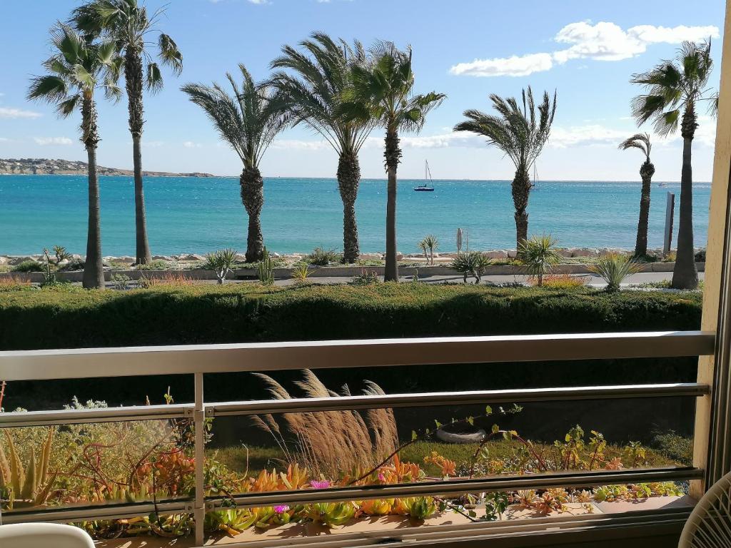 a view of the beach and palm trees from a balcony at "Le palmier doré", cosy T3 front de mer in Sanary-sur-Mer