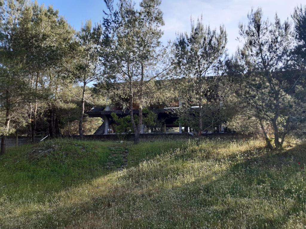 Jorgos Villa - Imazhi 9