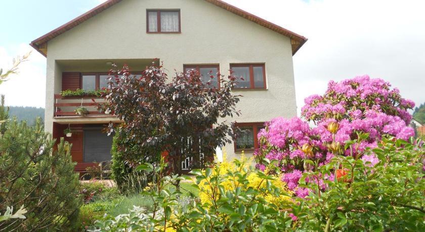 Zahrada ubytování Homestay Machom