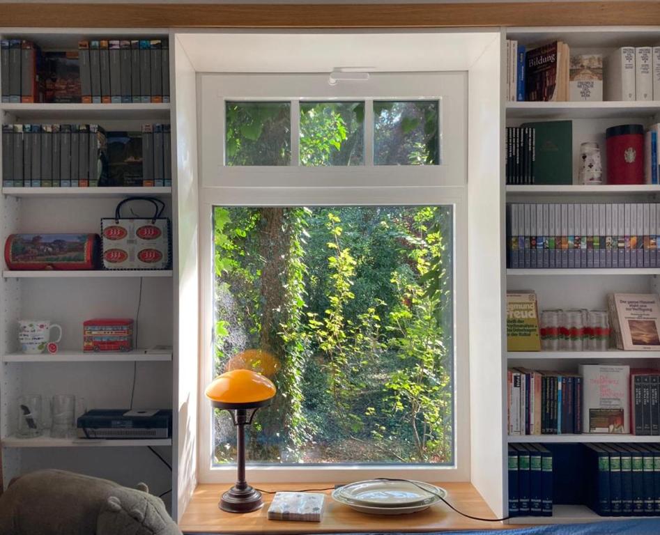 een raam in een kamer met een boekenplank bij FeWo Olga Behrends in Wiesmoor
