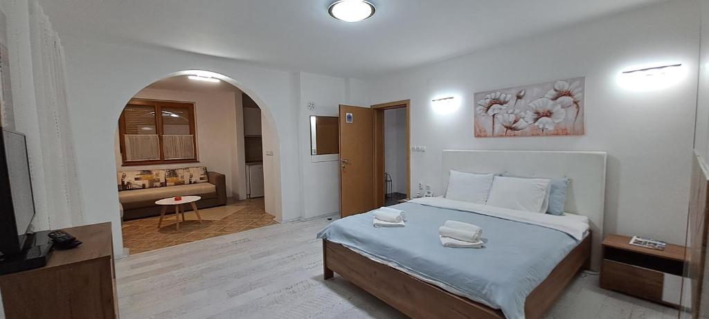 um quarto com uma cama e uma sala de estar em Apartmani Talija 3 i 4 Sokobanja em Sokobanja