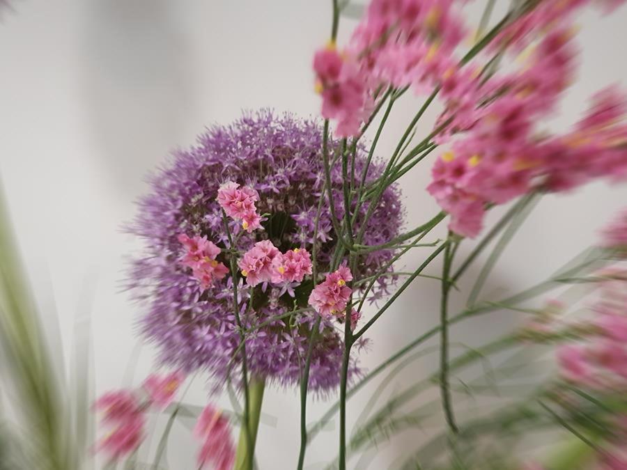 artHOTEL Bremen - Resim 44